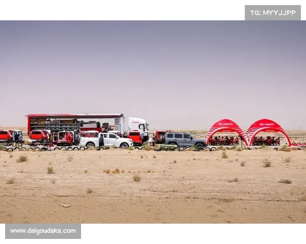 拉力赛事(拉力赛事激情燃烧挑战极限赛道勇者征途荣耀加冕)